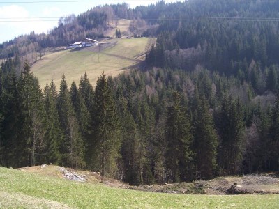 Blick von der Straße nach unten Richtung Hochwurzen auf Bereich von Baumfällarbeiten. Wäre recht leicht gewesen, hier eine Verbindung zu verwirklichen. Nun sind wenigstens die restichen Bäume im Tal gerettet