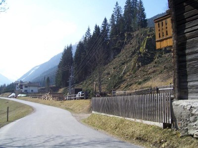 Blick vom leerstehenden Haus Richtung Preunegg-Tal mit Rodungsbereich