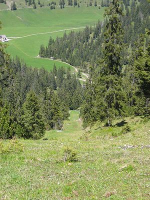 Blick vom Standort der Kurvenstütze 2 auf den Standort der Kurvenstütze 1. Die Trasse ist ziemlich steil, kommt nicht so gut rüber.