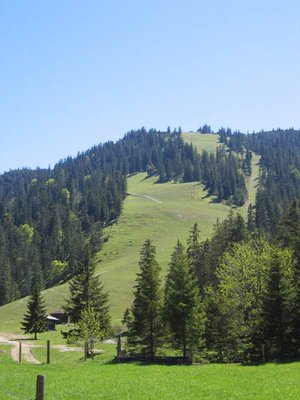 Blick auf die Esterbergabfahrt mit Lifttrasse auf der rechten Seite der Abfahrt.