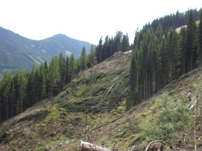 Reiteralm 36 (Holzerabfahrt).JPG