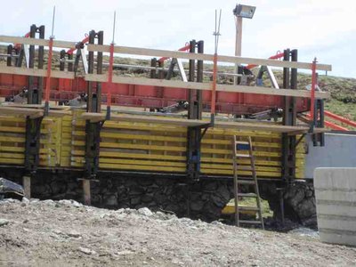 23.06.2010 Parsenn 035.jpg