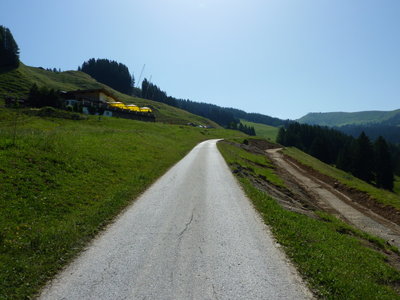 Verlegung Almweg im Bereich Ochsalm