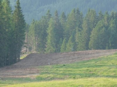 Pistenverbesserung im oberen Teil der Eisenhutabfahrt