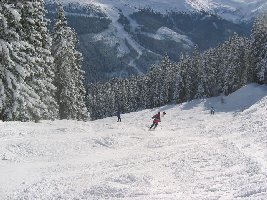 Nocheinmal ein Bild aus dem Hang