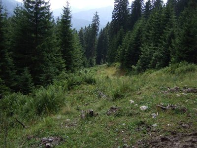 Skiabfahrt am Ziehweg