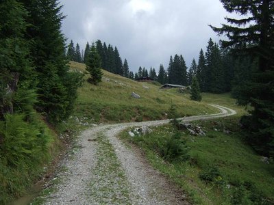 Blick zur Grünseealm