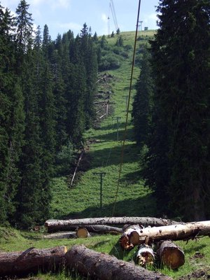 Der Verlauf der neuen Trasse