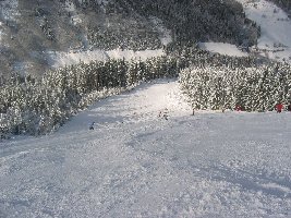 Eine traumhafte schwarze Piste, die Bürgerwaldabfahrt