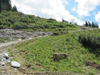 Arbeiten am Sonntagskogel in Alpendorf.