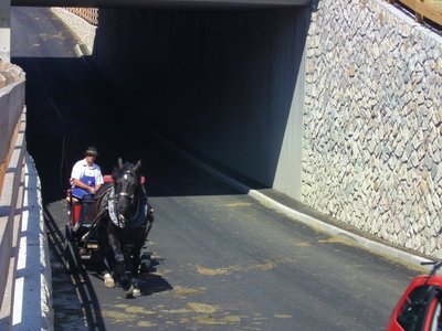 neue Skibrücke an der Panoramabahn (6).JPG