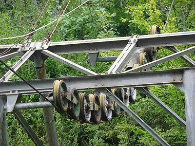 Niederhalter im Zoom.