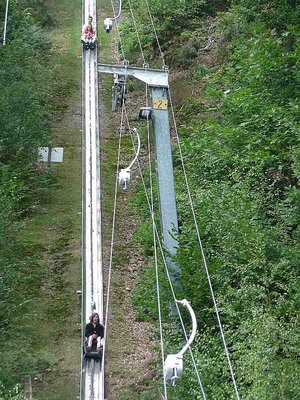 Niederhalter im Zoom