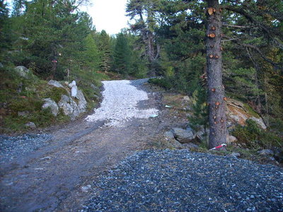 Vorarbeiten Alpenpark Turrach