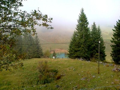 Neu angestauter Bach am Rankenlift, sicher als Schneiteich gedacht