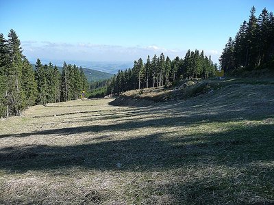 Erstes Teilstück der Piste 7. Rechts erkennt man die Abzweigung zum Hallerhaus (Piste 6).