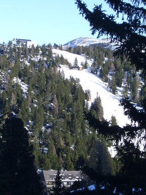 Zirbenwald Bergstation, Wildkopfabfahrt
