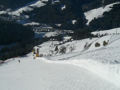 Die "Schwarze" nach Piculin in perfektem Zustand