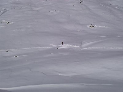 einer dieser "Stahlmänner" am Arberg