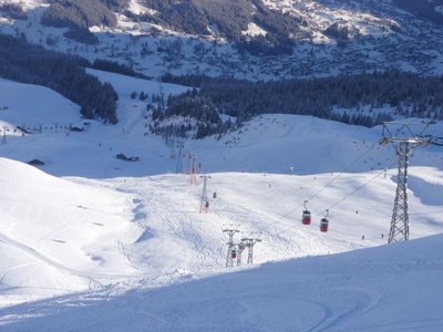 Männlichenbahn obere Trasse.jpg