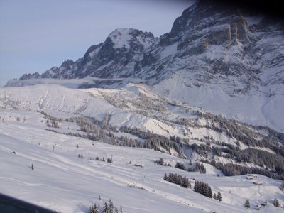 Teil des Firstgebietes.jpg