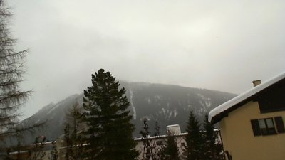 2011-01-02 14-35-05.740.jpg