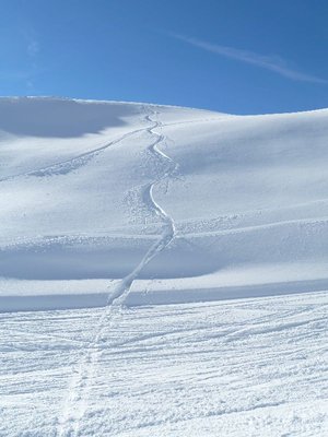 Meine Spur im Powder