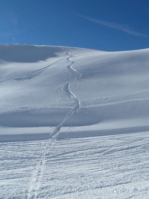 Der kleine Nordhang an der neuen 16 (Kaiserbahn), bester Powderhang von allen! Leider recht kurz