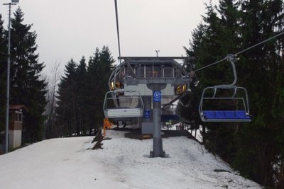 Rauher Busch KSB.JPG