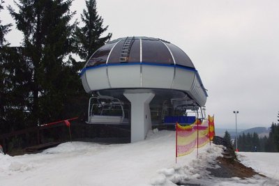 Rauher Busch KSB (2).JPG