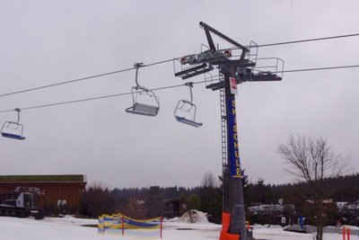 Rauher Busch KSB (4).JPG