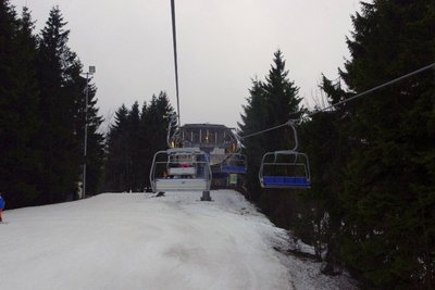 Rauher Busch KSB (7).JPG