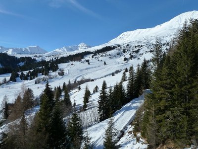 Blick aus der Königsleithebahn Richtung Plansegg.