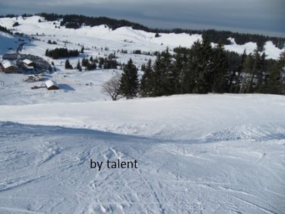 Vorletzte Kurve Klein Häderle (rechte Abfahrt)