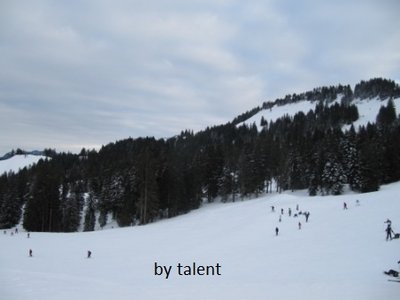 Blick in Richtung Hädrichlifte, hinter den Bäumen ist der Speicherteich