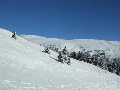 Blick in Richtung Nicki-Hang