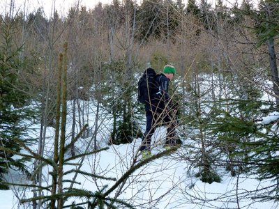 im oberen Bereich ist die Piste leider schon "etwas" verwachsen