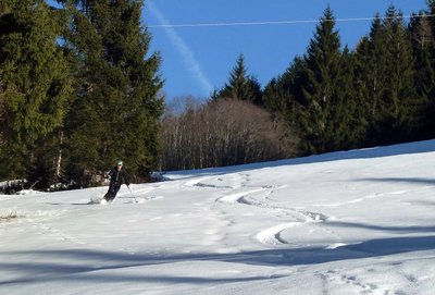 Abfahrt im unteren Bereich