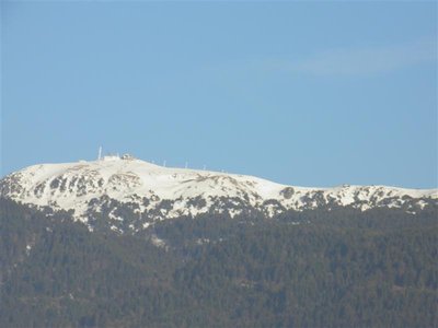 Blick von der Straße in Grenoble auf den Gipfel von Chamrousse; die Schneegrenze lag im Wald auf ca 1500m