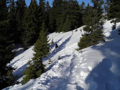 P2100350 (Individuell).JPG