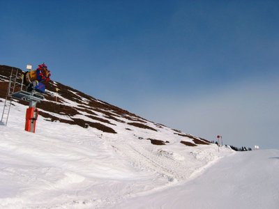 Ohne diese Kollegen ginge wohl nichts, vor allem nicht auf Südhängen wie hier an der Melkalm (19)