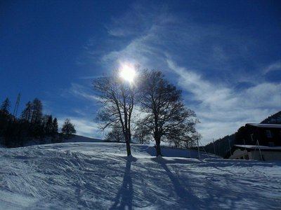 skifahren bei laubbäumen - eine sehr seltene kombination für mich