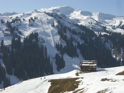 Blick auf die schwarze Piste an der DSB Sunegg - eine der besten Pisten die Tage.