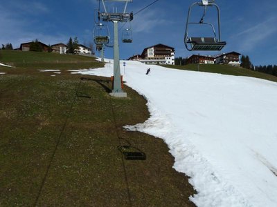 SChloßkopf mit blühenden Blumen neben der Piste