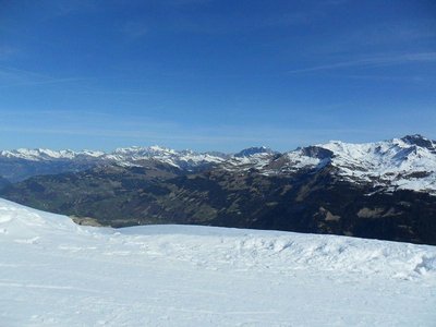 der grün-weisse kontrast wird von tag zu tag extremer