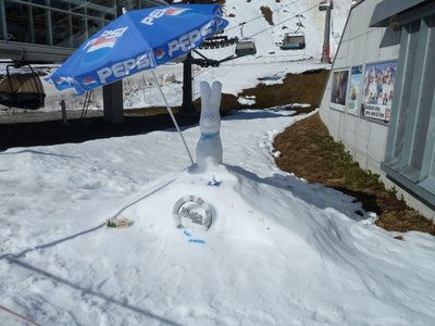 Schneehase an der Zürserseebahn