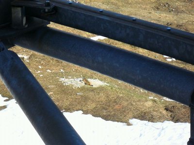 ein ausgeschlafener fettsack auf gotschnaboden