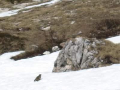 auch den Kleinen gefällt's!