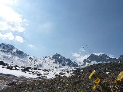 Frühling auf der Alp Trida.