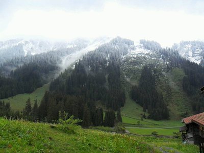 neuschnee bis ca. 1400m heute mittag